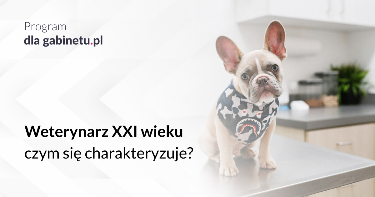 Weterynarz XXI wieku – czym się charakteryzuje?